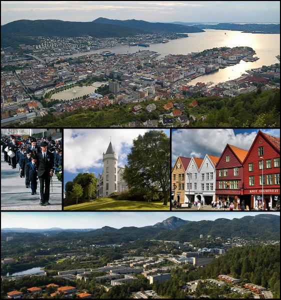  Bergen Composite