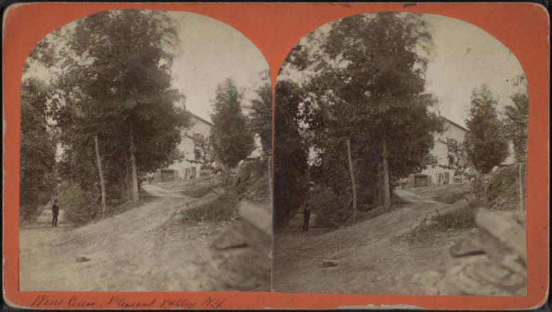  Wine Celler, Pleasant Valley, N. Y, from Robert N. Dennis collection of stereoscopic views