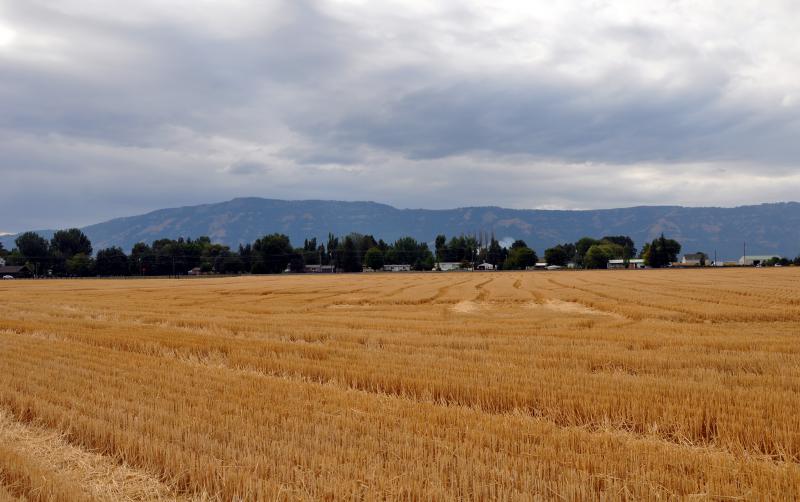  Imbler, Oregon, fields