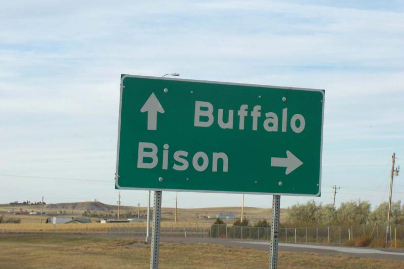  Buffalo Bison sign near Buffalo S D