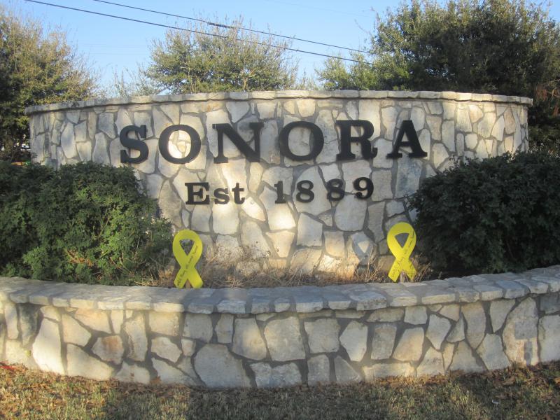  Sonora, T X, welcome sign I M G 1381